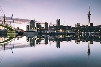 Startup in New Zealand