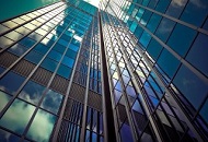Types of Companies in New Zealand